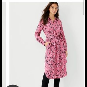 Ann Taylor dress 👗